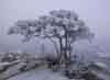 Winter in Norwegen